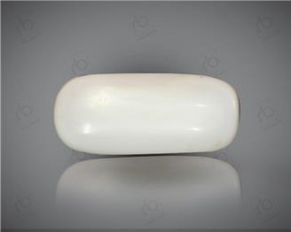 Natural White Coral ( Safed Mooga) Certified 8.58 CTS. ( 91525 )